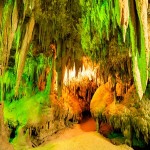  Carlsbad Caverns 