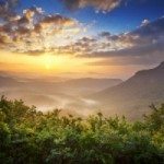 Sun Setting Over Forest