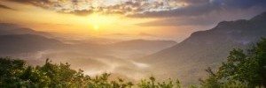 Sun Setting Over Forest