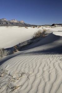 white dunes