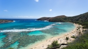 Hanauma 