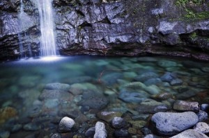 Manoa Falls