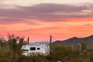 Keeping Pests Out of Your Second Home