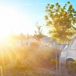 RV Park In The Sun